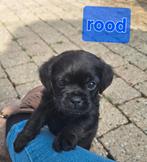 Retromops, 33 - 40 uur, Overige vormen