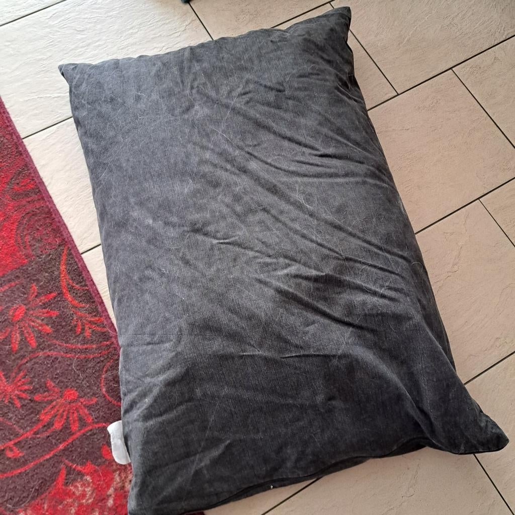 Hondekussen 100x70 cm, Ophalen of Verzenden