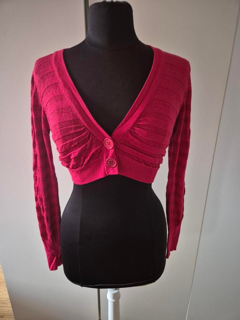 Kort rood glinsterend Cool Cat vestje - maat L, Kleding | Dames, Coolcat, Ophalen of Verzenden, Maat 42/44 (L), Rood
