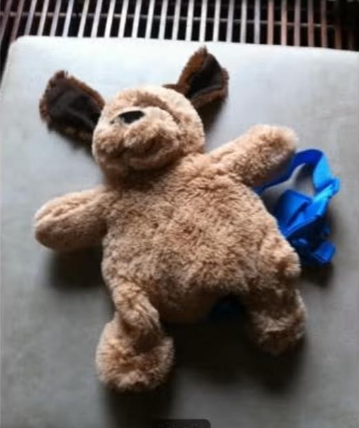 Een schattige puppy rugzak met 2 in 1 functie, Ophalen of Verzenden, Zo goed als nieuw, Overige merken, 30 tot 45 cm