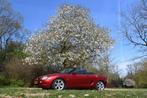 MG MGF 1.8 115.000 km, Auto's, Elektrische ramen, Achterwielaandrijving, 4 cilinders, Cabriolet