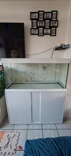 Aquarium 250L met kast, Ophalen, Zo goed als nieuw, Leeg aquarium