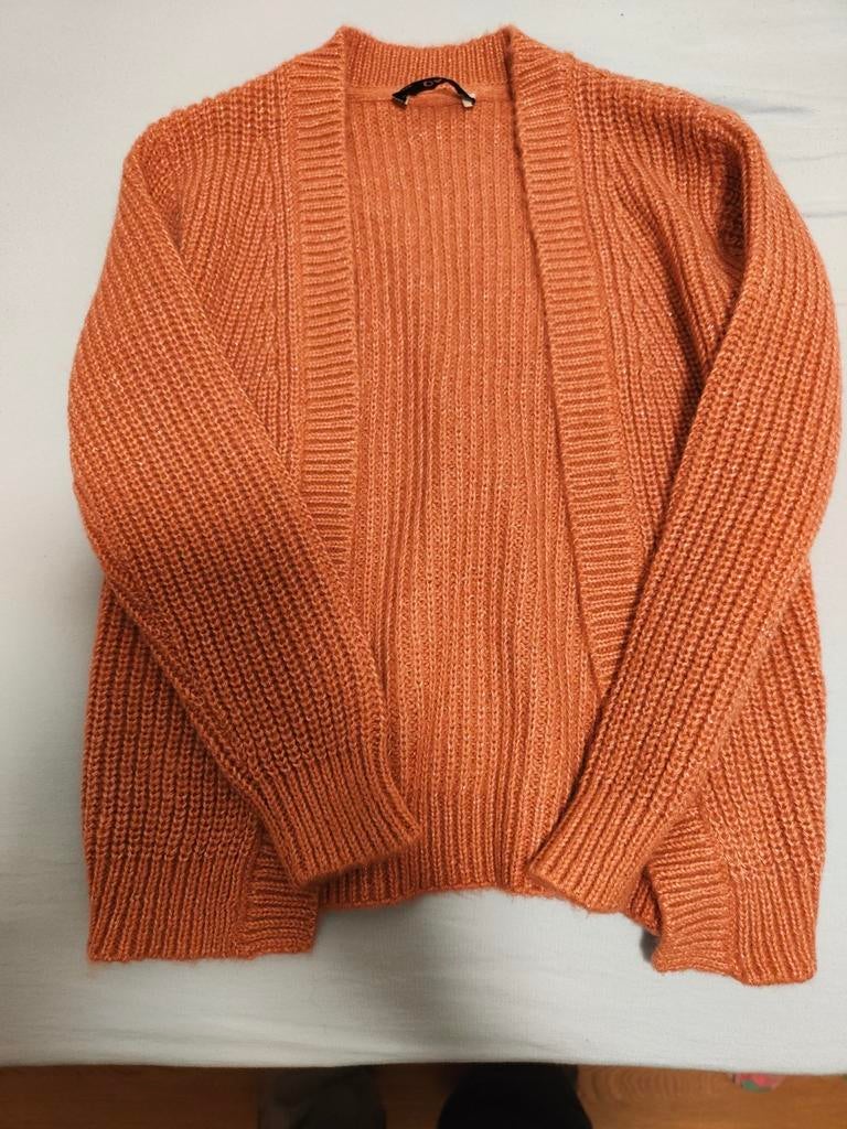 Kindervestje roze maat 128, Kinderen en Baby's, Kinderkleding | Maat 128, Ophalen of Verzenden, Meisje