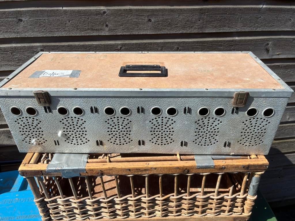 Duivenmand postduiven, Dieren en Toebehoren, Vogels | Duiven, Meerdere dieren, Postduif