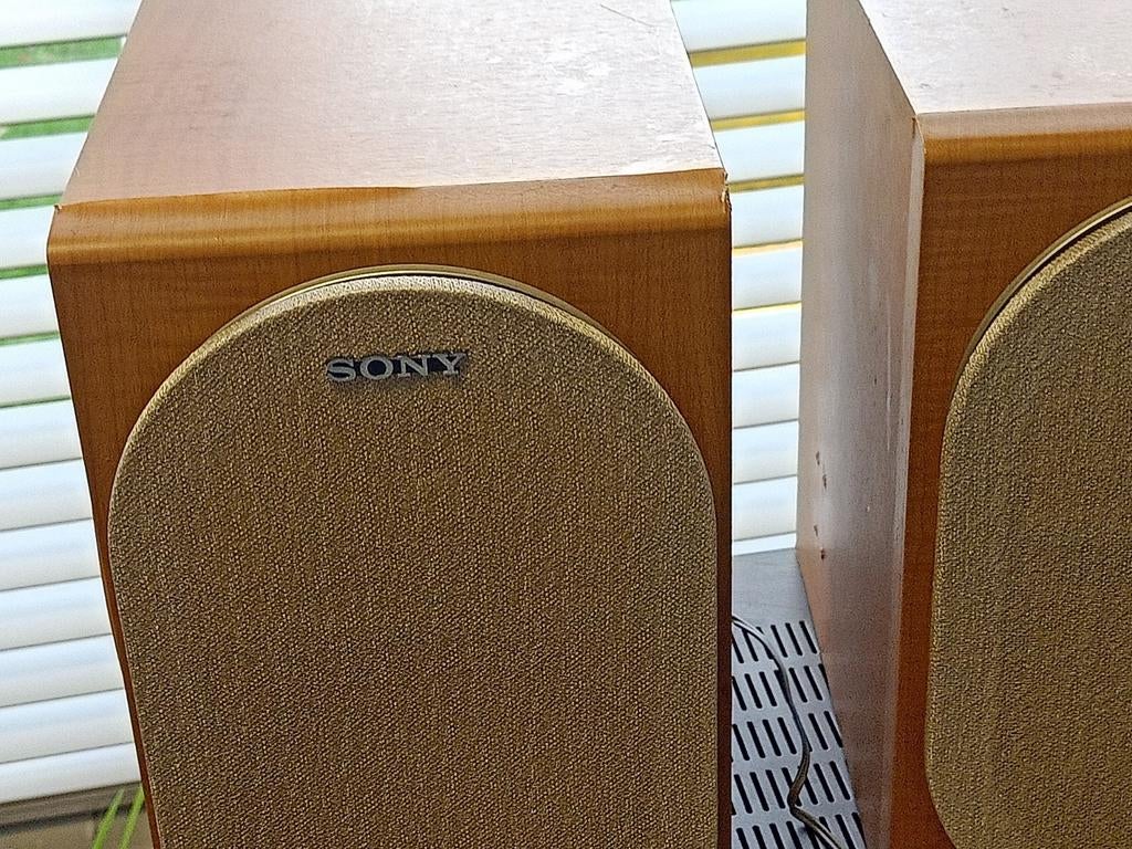 Sony speakers 25 cm hoog, Audio, Tv en Foto, Luidsprekers, Ophalen of Verzenden