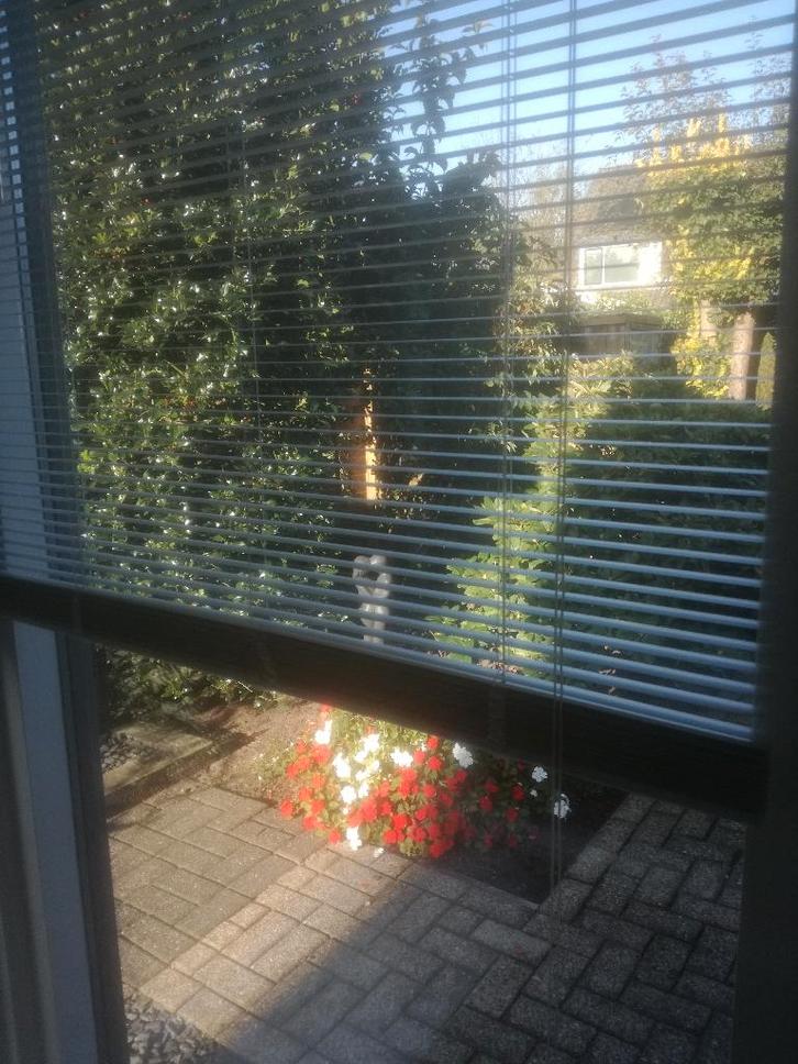 JALOEZIEEN (8 hor. + 1 vert.) 25 mm wit, diverse afmetingen!, Huis en Inrichting, Stoffering | Gordijnen en Lamellen, Zo goed als nieuw