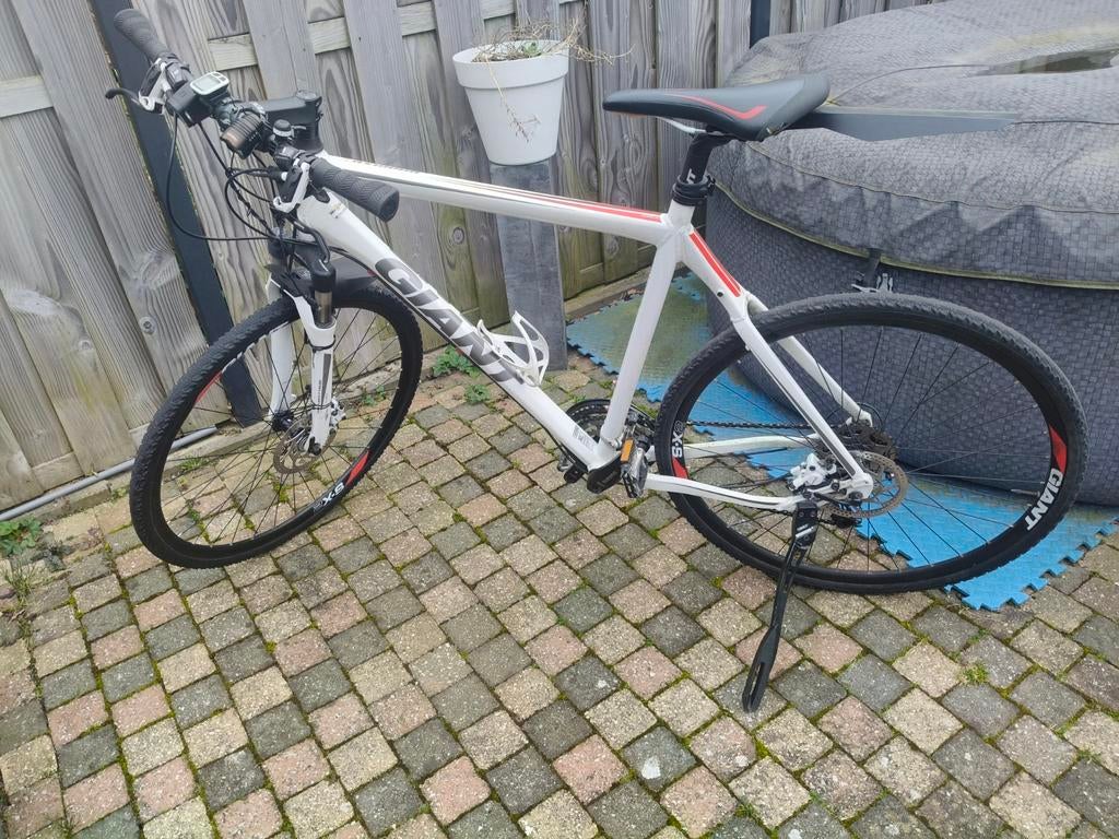 Giant Roam XR 2 Hybride Fiets - Perfect voor Avontuur!, Fietsen en Brommers, Ophalen, Meer dan 20 versnellingen, Giant, Vering