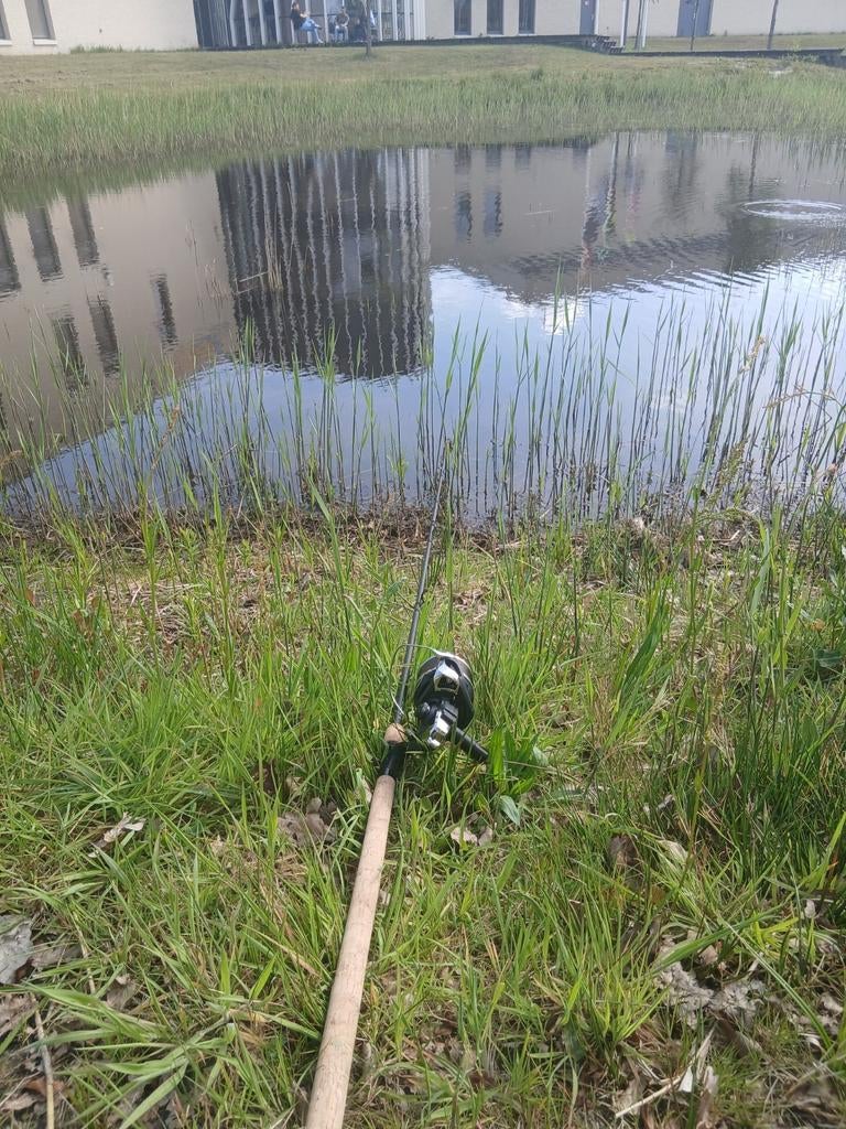 Karper spullen gezocht, Ophalen of Verzenden, Gebruikt, Werphengel