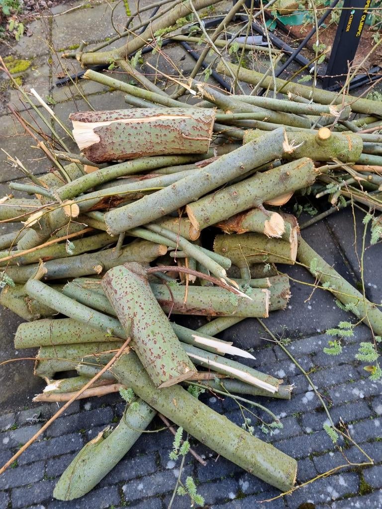 Gratis hout pallets voor paasvuur, Tuin en Terras, Haardhout, Ophalen of Verzenden, Stammen