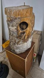 2 broedblokken, Meerdere dieren, Parkiet