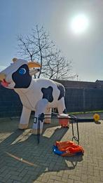 Ranja koe, Ophalen, Gebruikt, Overige typen, Overige