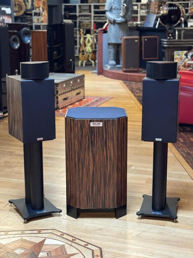 WLM Gran Viola Monitor Signature SuperPac + Duo 18 Subwoofer, Audio, Tv en Foto, Luidsprekers, Gebruikt, 120 watt of meer, Front, Rear of Stereo speakers