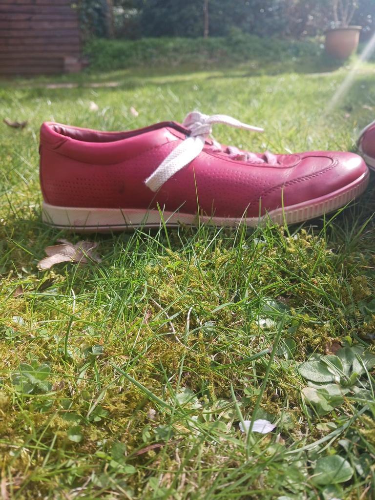 Rode ecco schoenen, Ophalen of Verzenden, Zo goed als nieuw, Rood, Sneakers of Gympen