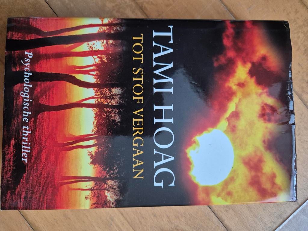 Tami Hoag - Tot stof vergaan, Ophalen of Verzenden