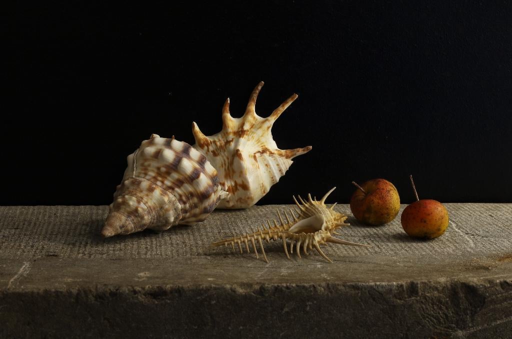 Modern klassiek stilleven 3, Ophalen