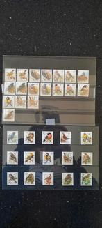Belgische postzegels met vogels - Buzin collectie, Ophalen of Verzenden