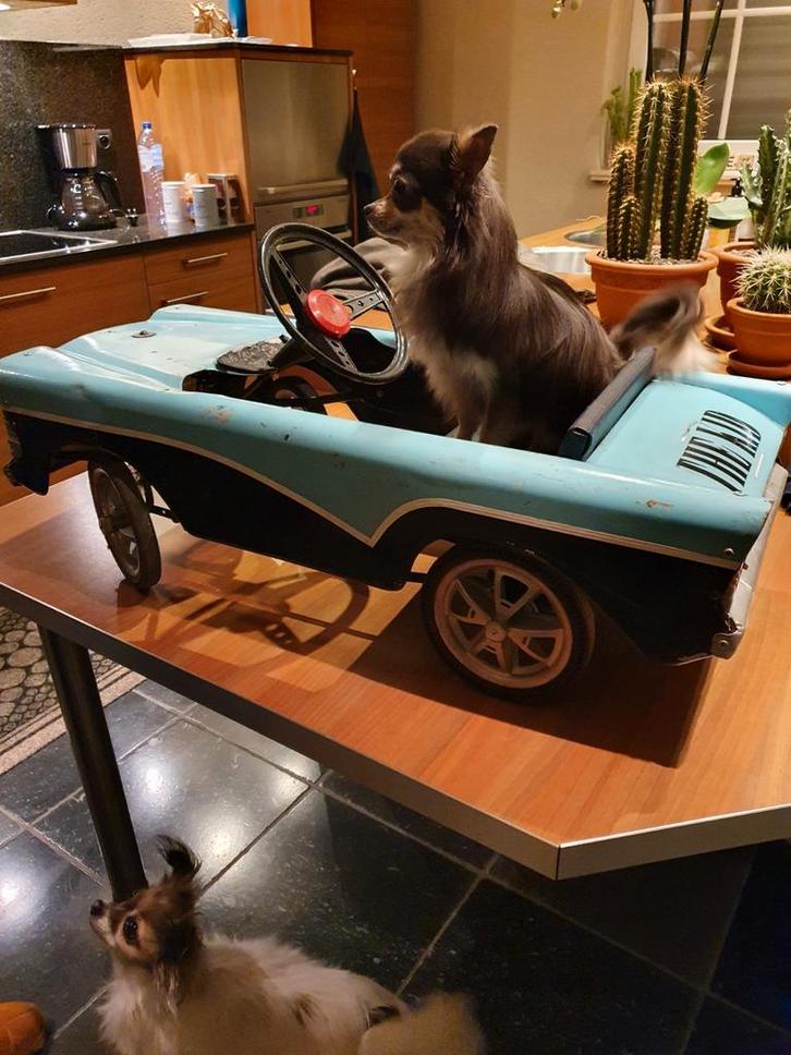 Trapauto Tri-ang, Antiek en Kunst, Antiek | Speelgoed, Ophalen