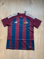 Pec Zwolle limited edition shirt maat L Namli 9, Maat L, Ophalen of Verzenden, Nieuw, Shirt