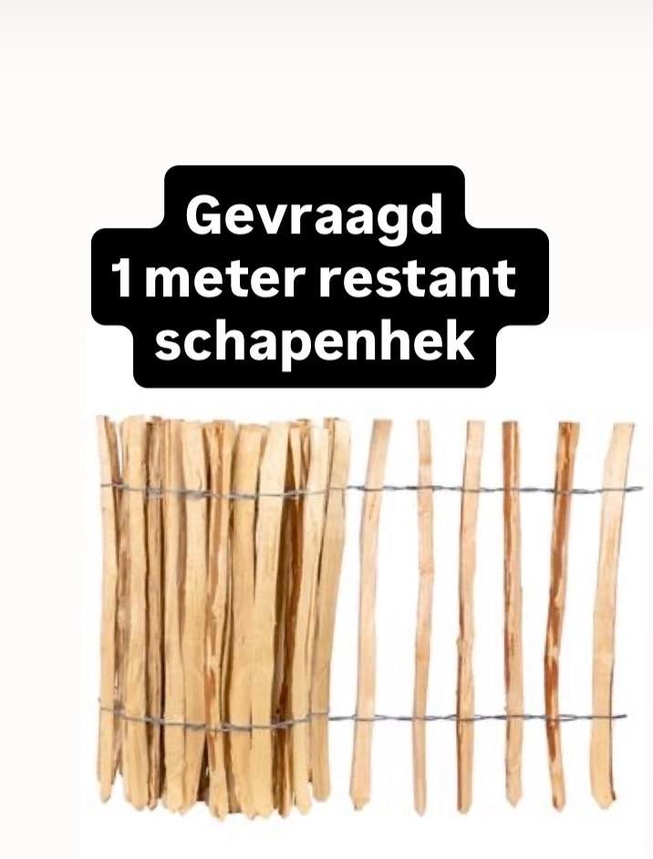 Gevraagd: 1 meter restant schapenhek - Krommenie, Tuin en Terras, Ophalen, Gebruikt, Hout, Overige typen