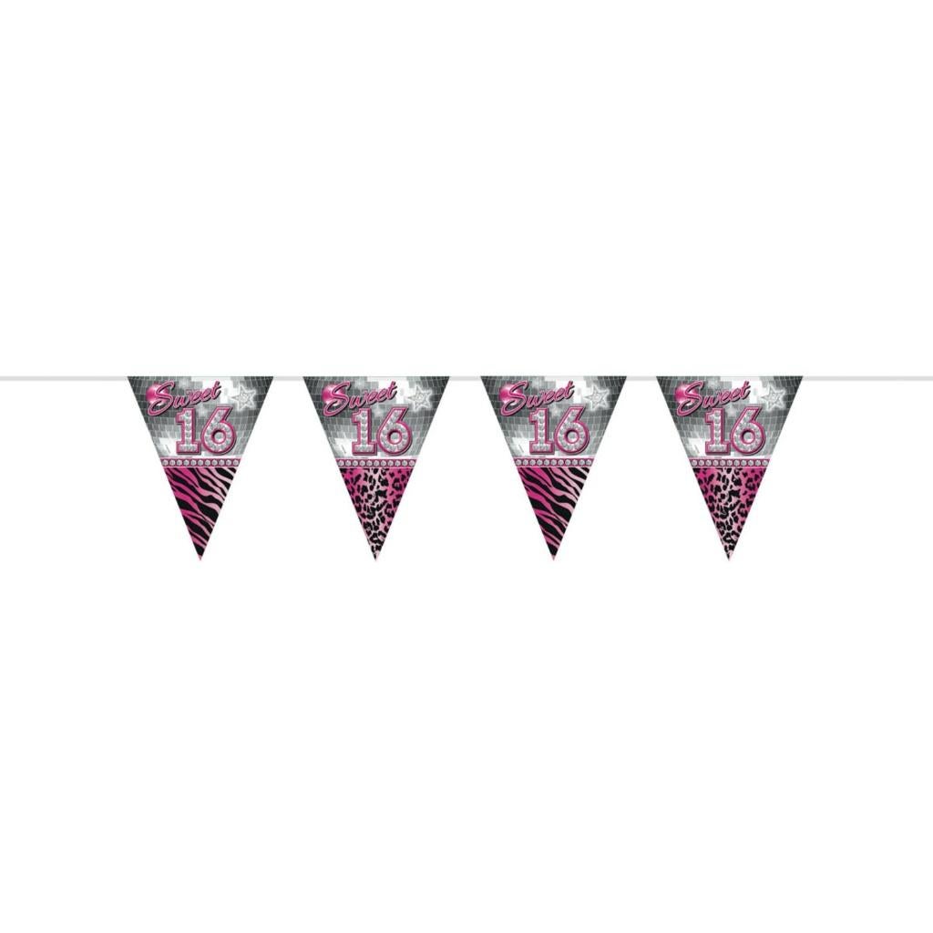 Vlaggenlijn sweet 16 (61157), Hobby en Vrije tijd, Feestartikelen, Versiering, Info@all4funbaarlo.nl, A, Verjaardag