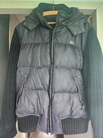 Unieke Walt Disney jas - Maat L - Gekocht in Parijs, Kleding | Heren, Maat 52/54 (L), Zwart, Ophalen of Verzenden, Gedragen