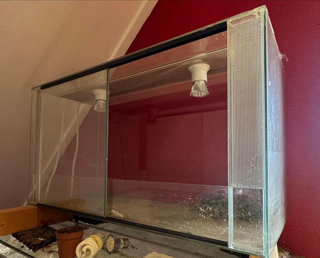 Terrarium  75x40x30 voor reptielen of schildpadden, slangen, Dieren en Toebehoren, Reptielen en Amfibieën | Toebehoren, Ophalen