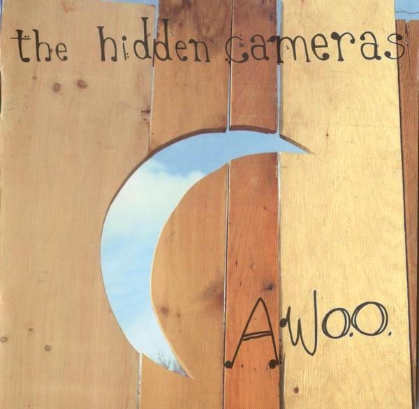 the hidden Cameras, Cd's en Dvd's, Cd's | Rock, Gebruikt, Poprock, Ophalen of Verzenden