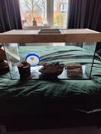 Knaagdieren terrarium met toebehoren, Kooi, Gebruikt, Muis, 75 tot 110 cm