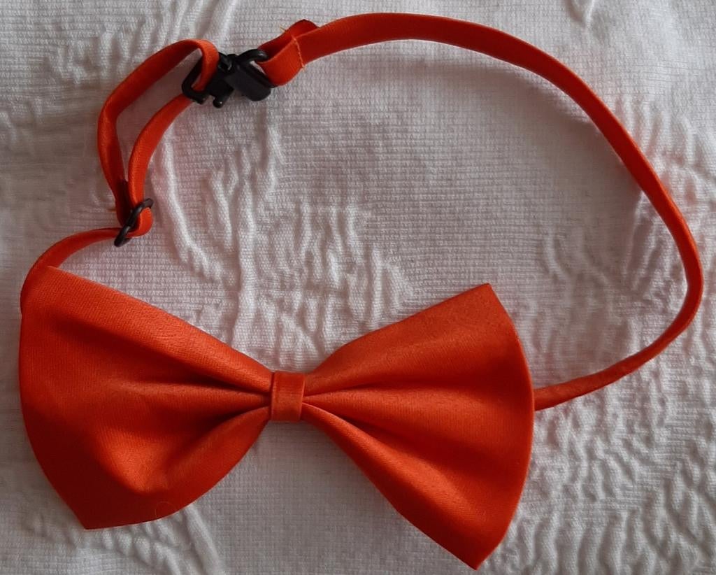 Oranje koningsdag strikje, Kinderen en Baby's, Kindermode-accessoires, Ophalen of Verzenden, Nieuw, Onbekend