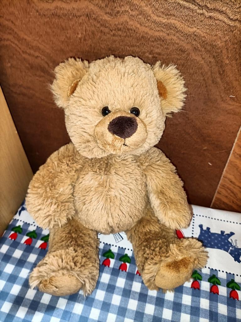 Beer knuffel Anna Club Plush 30 cm groot, Kinderen en Baby's, Speelgoed | Knuffels en Pluche, Ophalen of Verzenden, Zo goed als nieuw