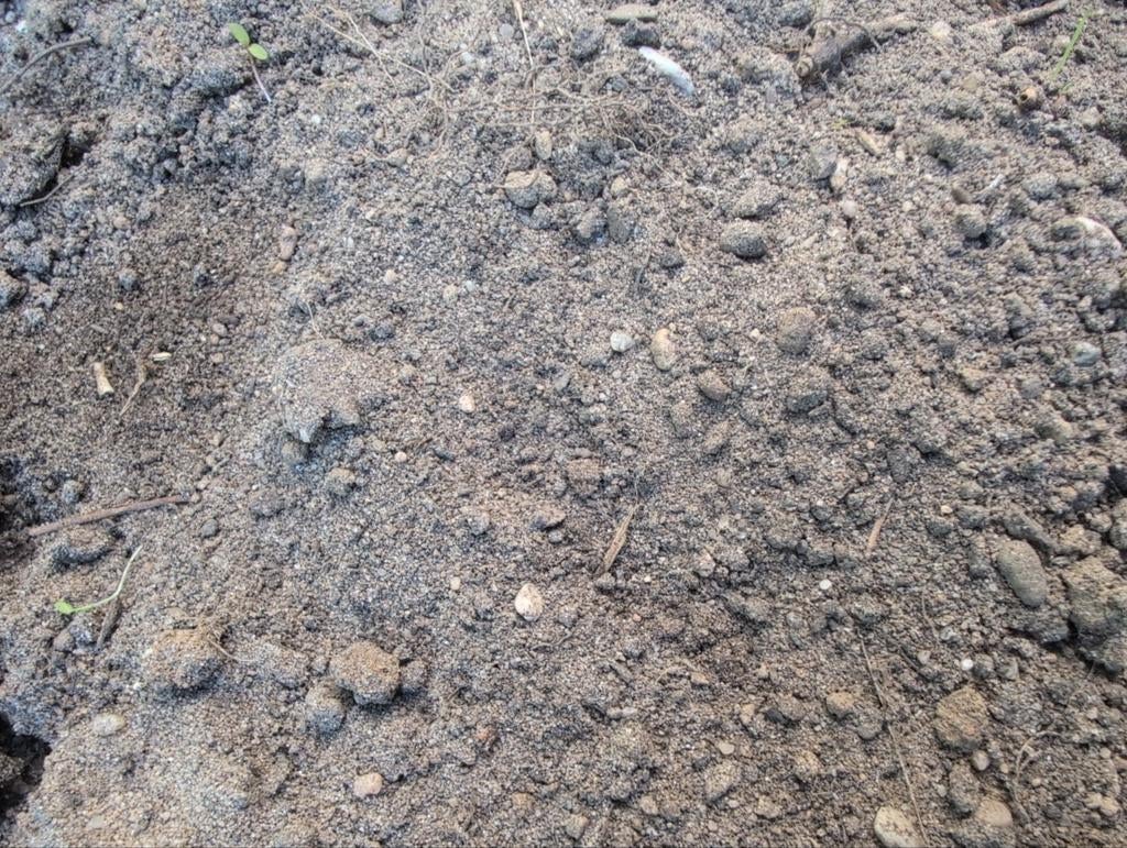 Gratis af te halen: 14m³ mix van Grond en Klei, Tuin en Terras, Aarde en Mest, Ophalen, Tuinaarde