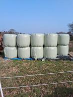 Midi balen hooi, Dieren en Toebehoren, Dierenvoeding, Ophalen, Vee