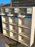 Te koop 4 stellingen  met 12 hokken, Ophalen of Verzenden, Zo goed als nieuw, Hout, Broedkooi of Kweekkooi