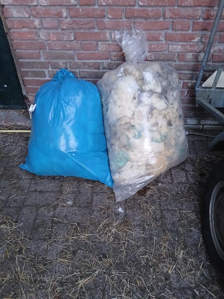 Schapenwol. 5 schapen 3 wit,1 zwart en 1 bont. TEAB., Dieren en Toebehoren, Vrouwelijk, Schaap