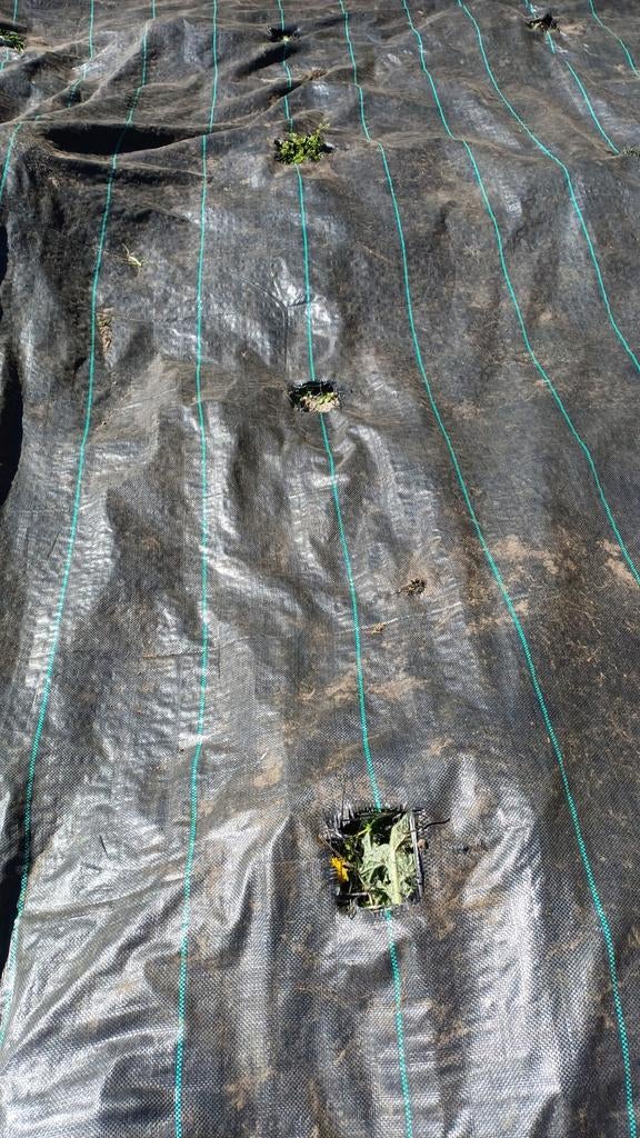 Anti worteldoek., Doe-het-zelf en Verbouw, Zeil en Folie, Ophalen, Minder dan 5 m², Zeil