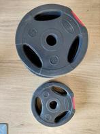 Halter schijven 12,5 kg, Ophalen of Verzenden, Zo goed als nieuw, Benen, Dumbbell