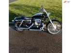 Harley Davidson 2004 XL 53C Custom sportster 883 carb NL mot, D
d  d, NL, 1@2.nl, Bedrijf, 883 cc