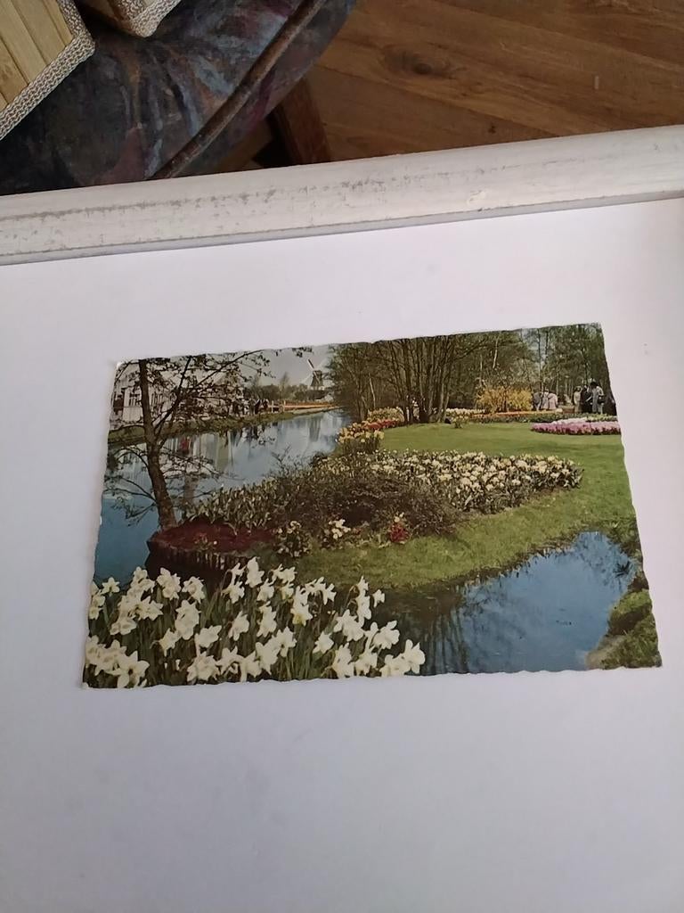 KEUKENHOF  LISSE, Ophalen of Verzenden