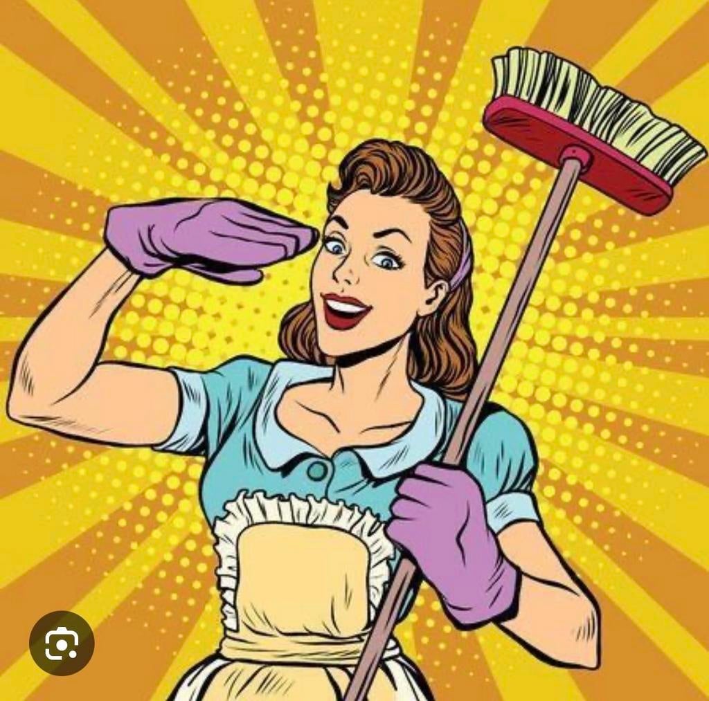 Huishoudelijke hulp gezocht :), Schoonmaken