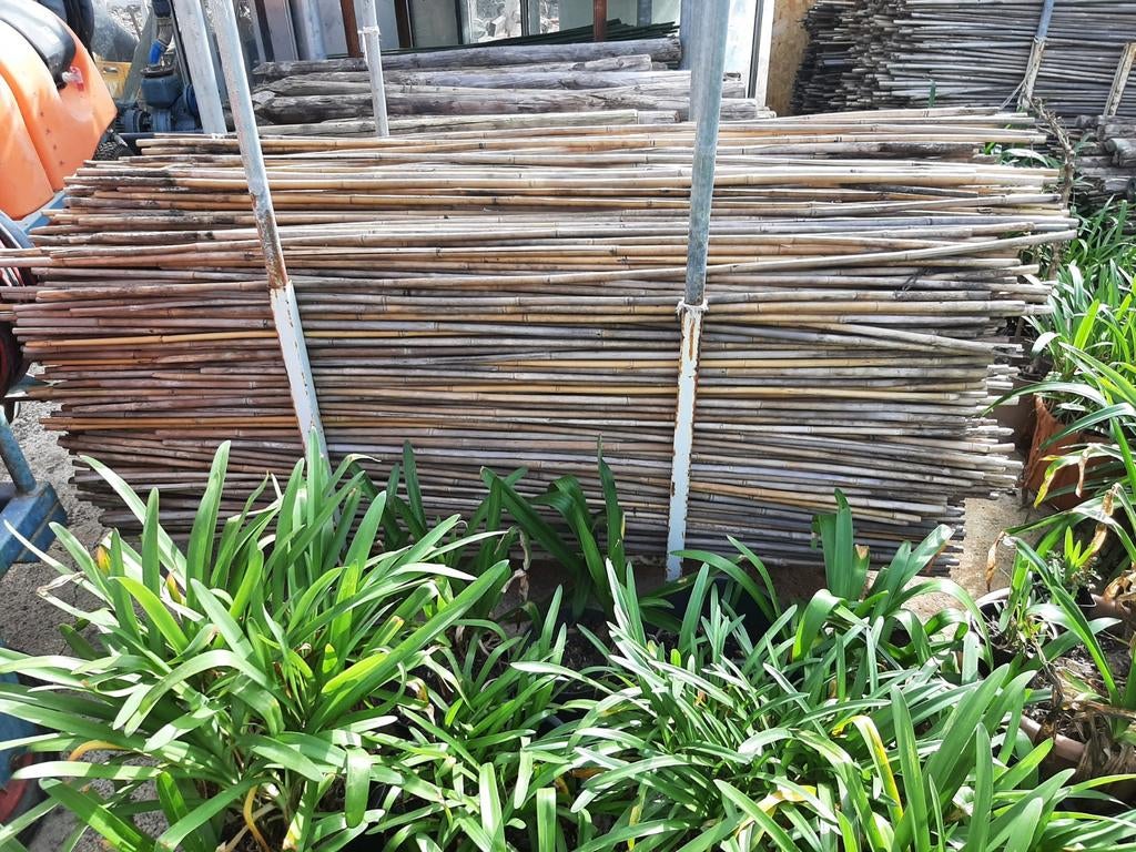 Bamboestokken, Ophalen of Verzenden, Gebruikt, Hout