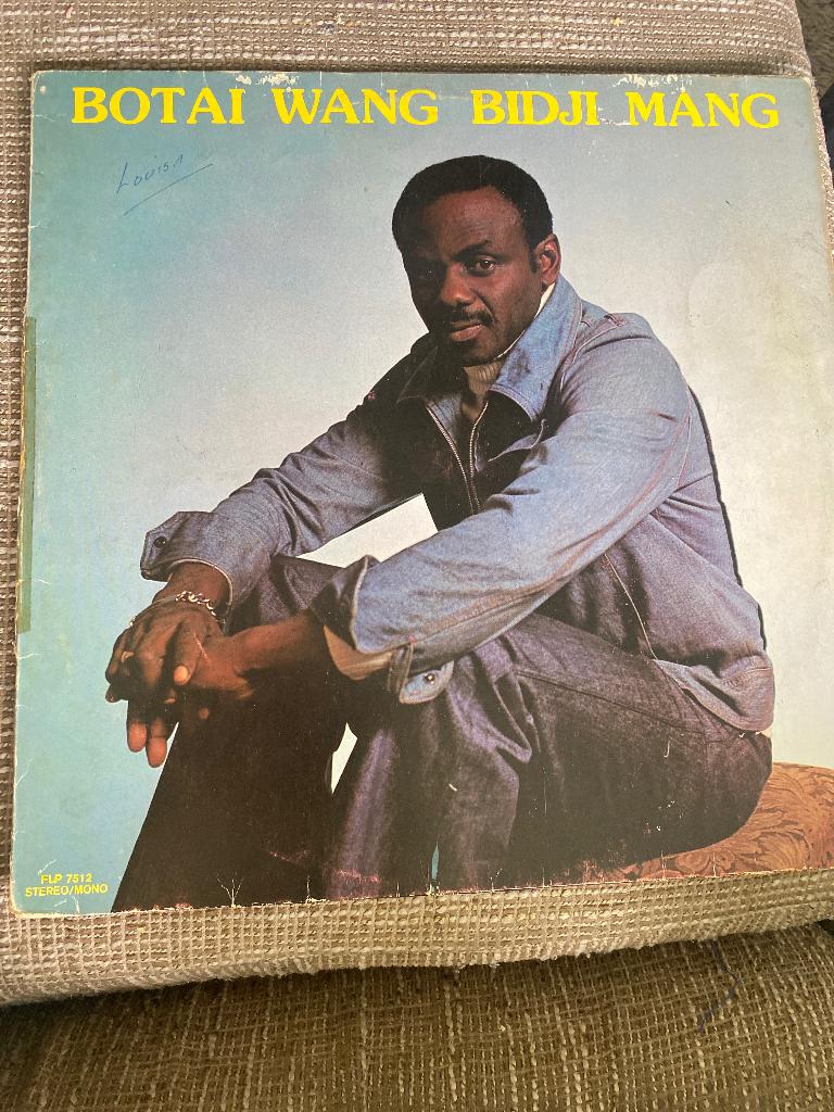 Botai Wang Bodhi Mang ( lp vinyl), Ophalen of Verzenden, Gebruikt, 12 inch