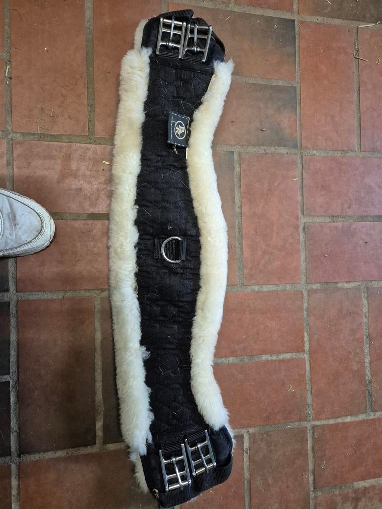 BR wollen singel, Ophalen of Verzenden, Gebruikt, Dressuur