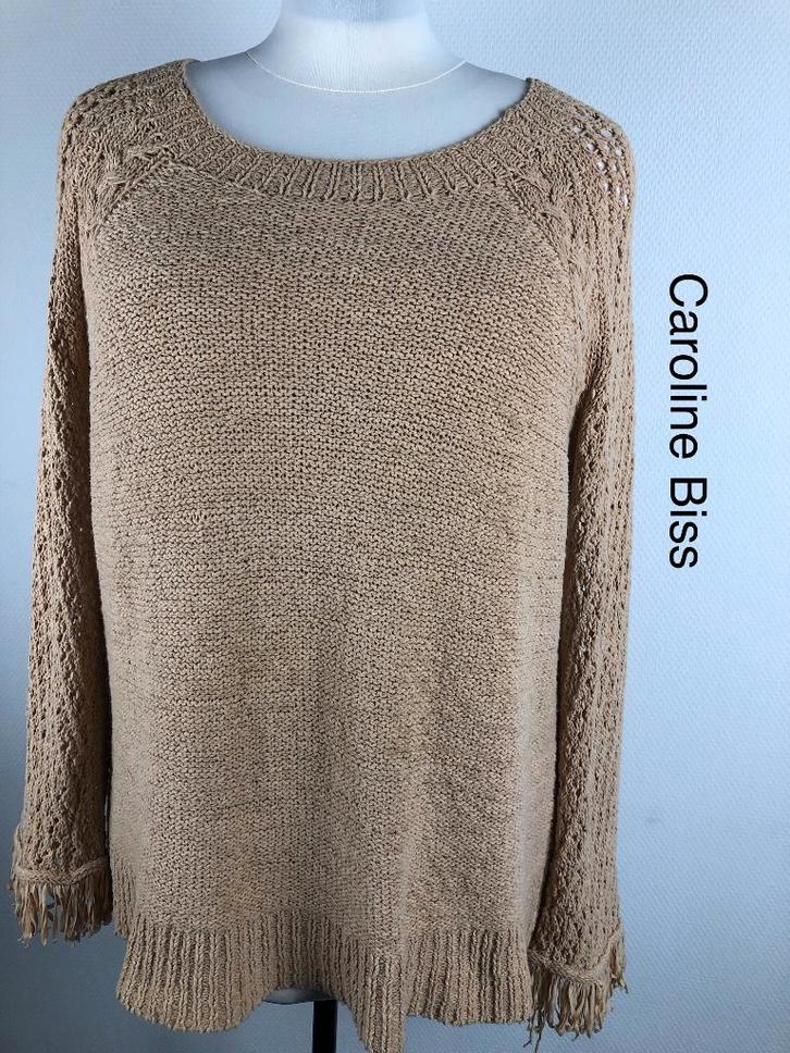 Caroline Biss Trui  (mt: 42) 17,4/8717, Kleding | Dames, Truien en Vesten, Zo goed als nieuw, Maat 42/44 (L), Blauw, Ophalen of Verzenden