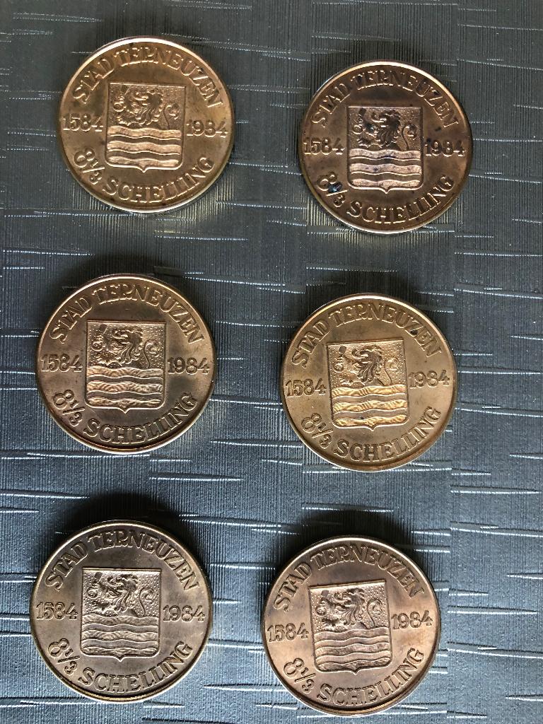 Herdenkingspenning Terneuzen, Ophalen of Verzenden, Brons, Nederland