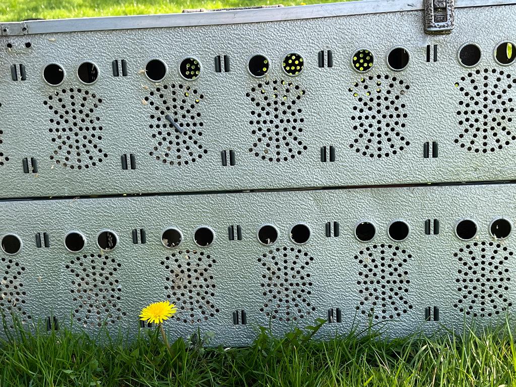 Duivenmand aluminium., Dieren en Toebehoren, Meerdere dieren, Overige soorten