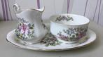 Suiker- en melksetje Royal Standard Bone China Mandarin, Overige typen, Ophalen of Verzenden, Zo goed als nieuw, Overige stijlen
