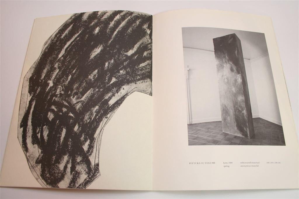 Pistoletto — Catalogus Van Abbemuseum — Arte Povera, Ophalen of Verzenden, Gelezen