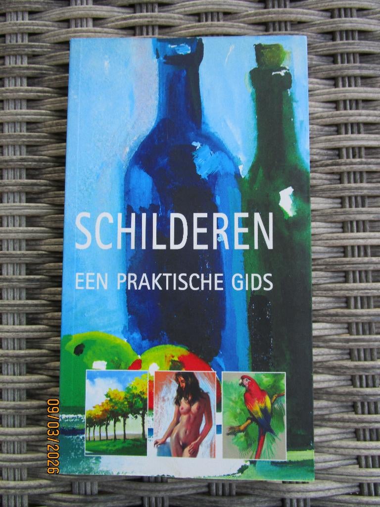Ballestar & Viqué/ Schilderen een praktische gids, Ophalen of Verzenden, Gelezen, Tekenen en Schilderen, Ballestar & Viqué