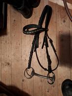 Halster, hoofdstel, Ophalen, Gebruikt, Overige soorten