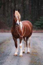 Knappe ruin van 10 jaar